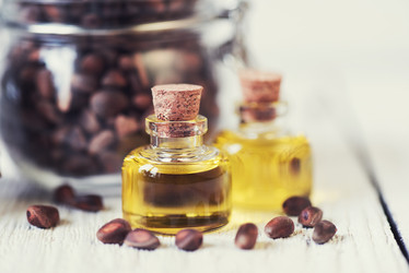 Similar image 13036046