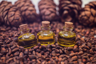 Similar image 13036272