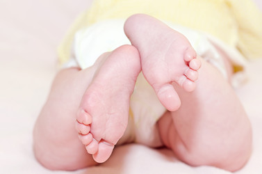 Similar image 13045205