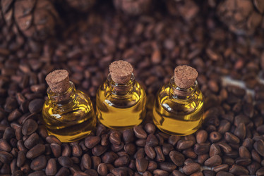 Similar image 13035864