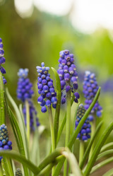 Similar image 13024888