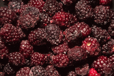 Similar image 13024919