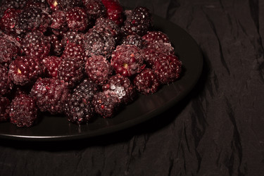 Similar image 13024921