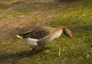 Similar image 13024924