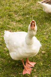 Similar image 13024927