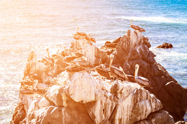 Similar image 13004900