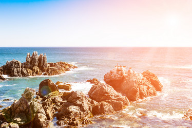 Similar image 13004902