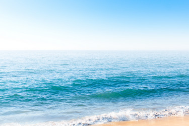 Similar image 13004906