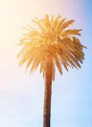 Similar image 13004948