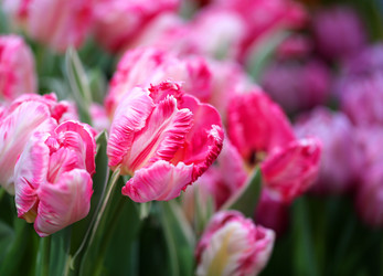 Similar image 13002200