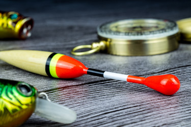 Similar image 13028571