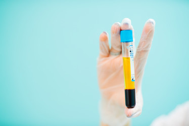 Similar image 13003605