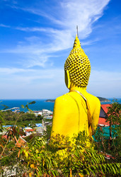 Similar image 13044784