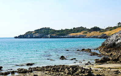 Similar image 13003131