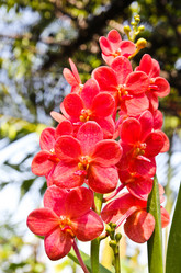 Similar image 13003158