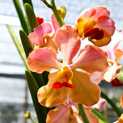 Similar image 13003164