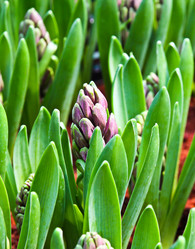 Similar image 13003181