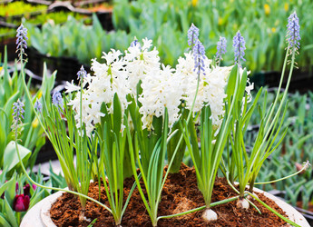 Similar image 13003182