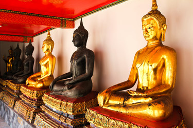 Similar image 13044789