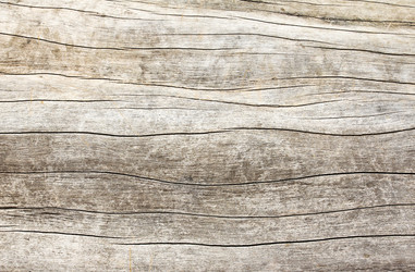 Similar image 13003134