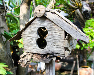 Similar image 13003153