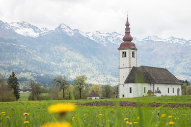 Similar image 13042135