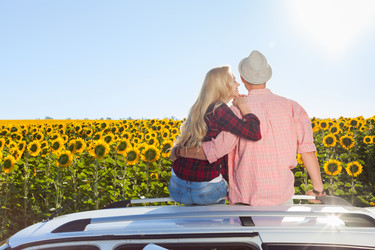 Similar image 13039362