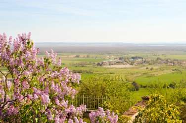 Similar image 13024617