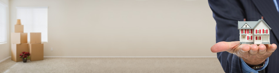 Similar image 13033909