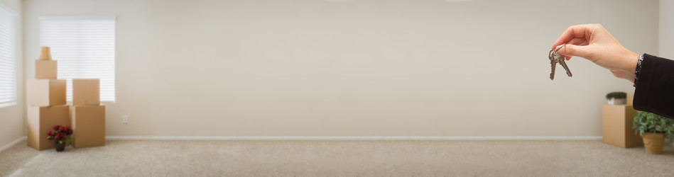 Similar image 13033911