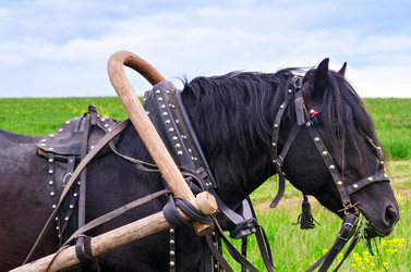 Similar image 13045547