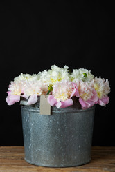 Similar image 13010526