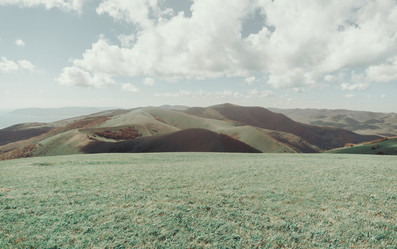 Similar image 13033776