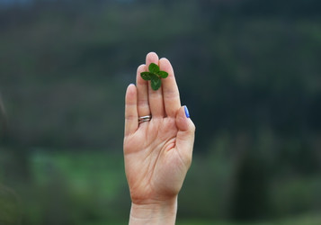 Similar image 13042097