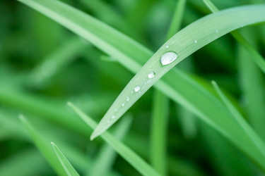 Similar image 13042115