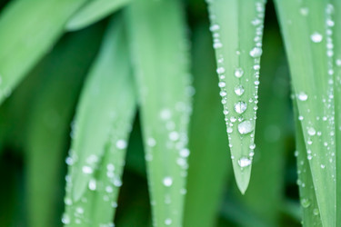 Similar image 13042116