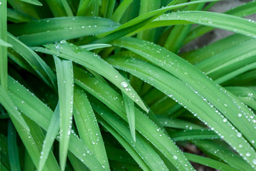 Similar image 13042136