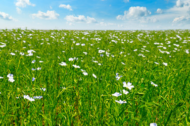 Similar image 13023987