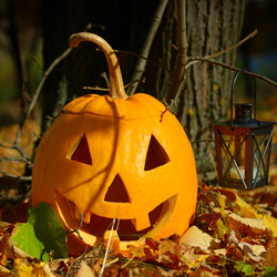 Similar image 13023989