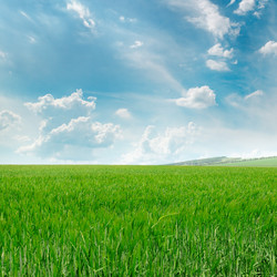 Similar image 13023990