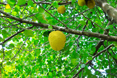 Similar image 13023991