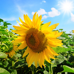 Similar image 13023995