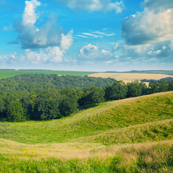 Similar image 13023999