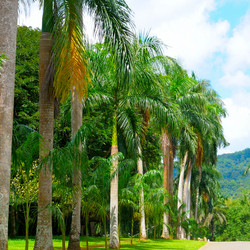 Similar image 13024008