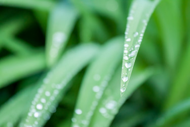 Similar image 13042101