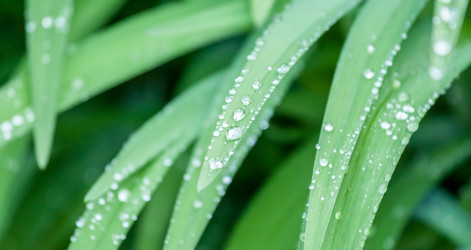 Similar image 13042102