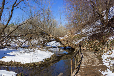 Similar image 13012855