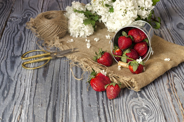 Similar image 13005452