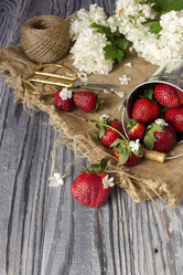 Similar image 13005457