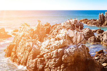 Similar image 13004932